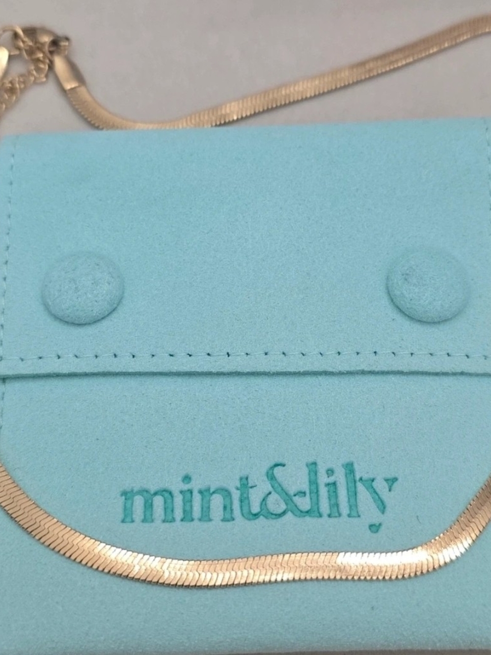Mint And Lily Gold Tone Herringbone Necklace